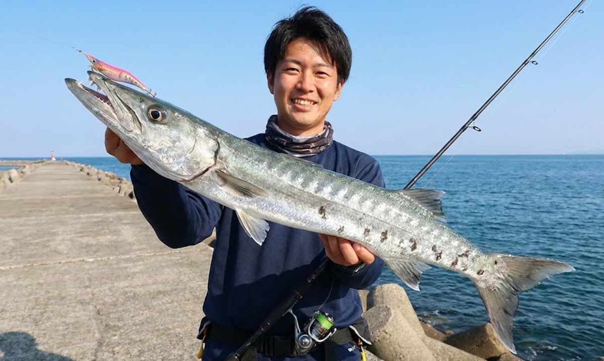 カマス釣りでエギングロッドを代用するメリット