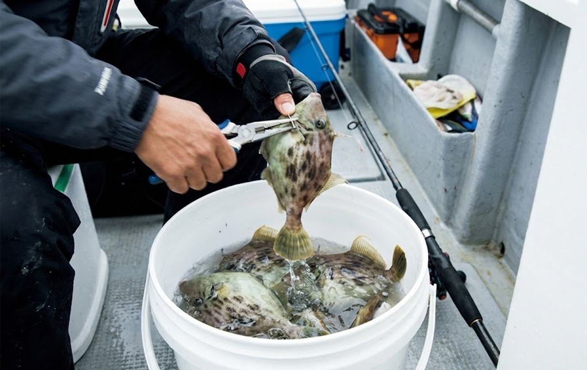 貴重な時合を逃さず釣れない時間を減らす手返しのスピード化